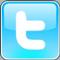 Twitter badge