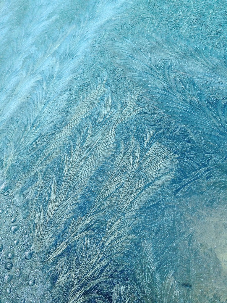 frozen windshield