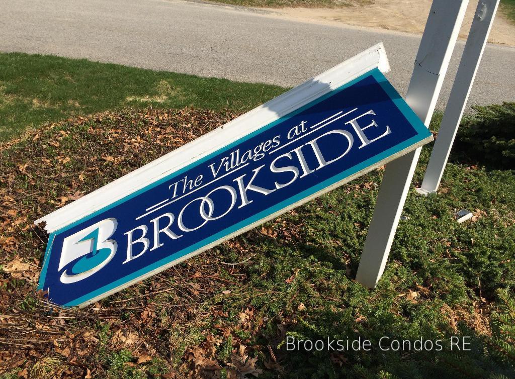 Brookside winter clean-up