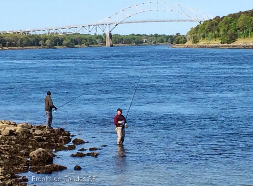 Cape Cod Canal fishermen