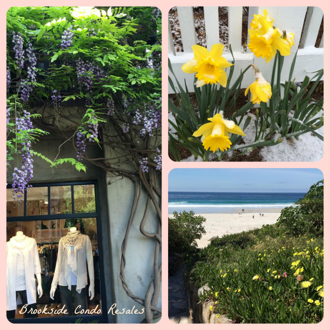 carmel by the sea and cape cod weather