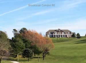 Brookside golfing